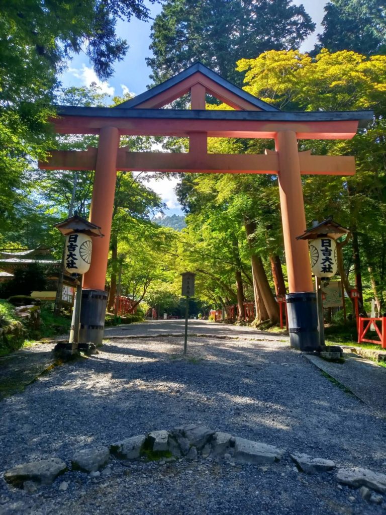 滋賀県　日吉大社　猿　まさるんくん
